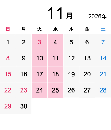 2026年11月