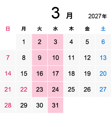 2027年3月