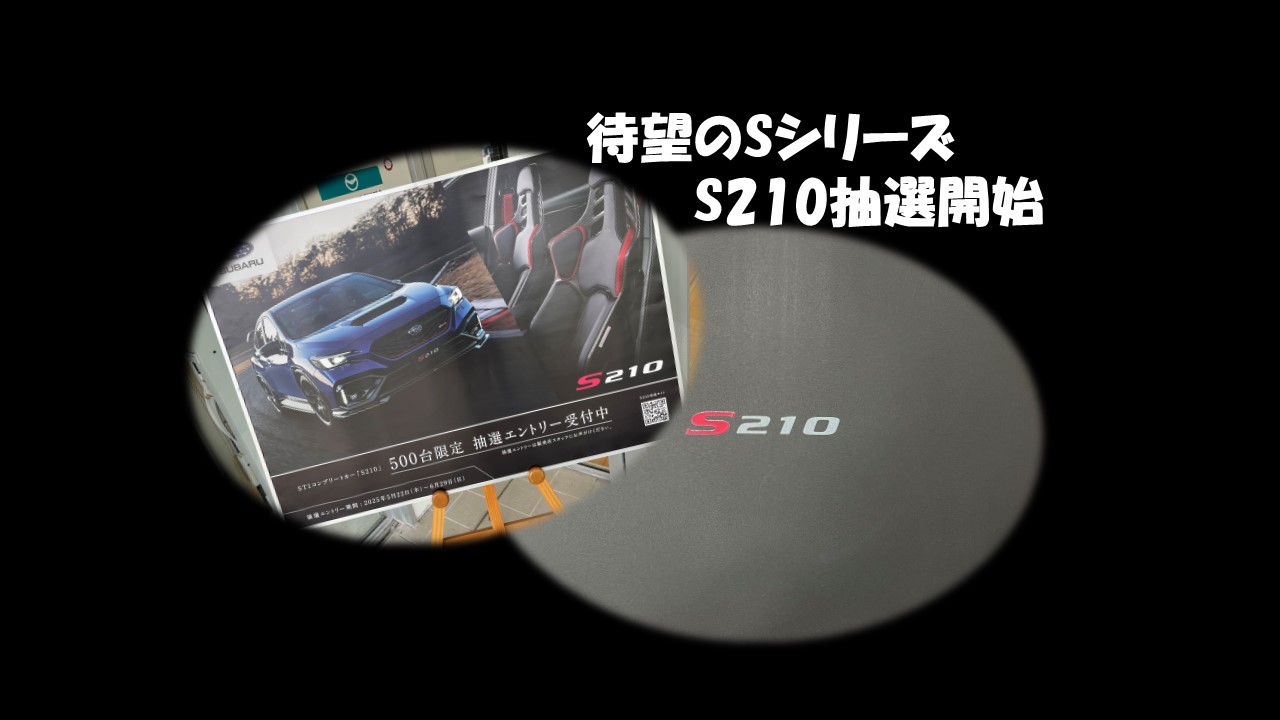 210SS210.jpg