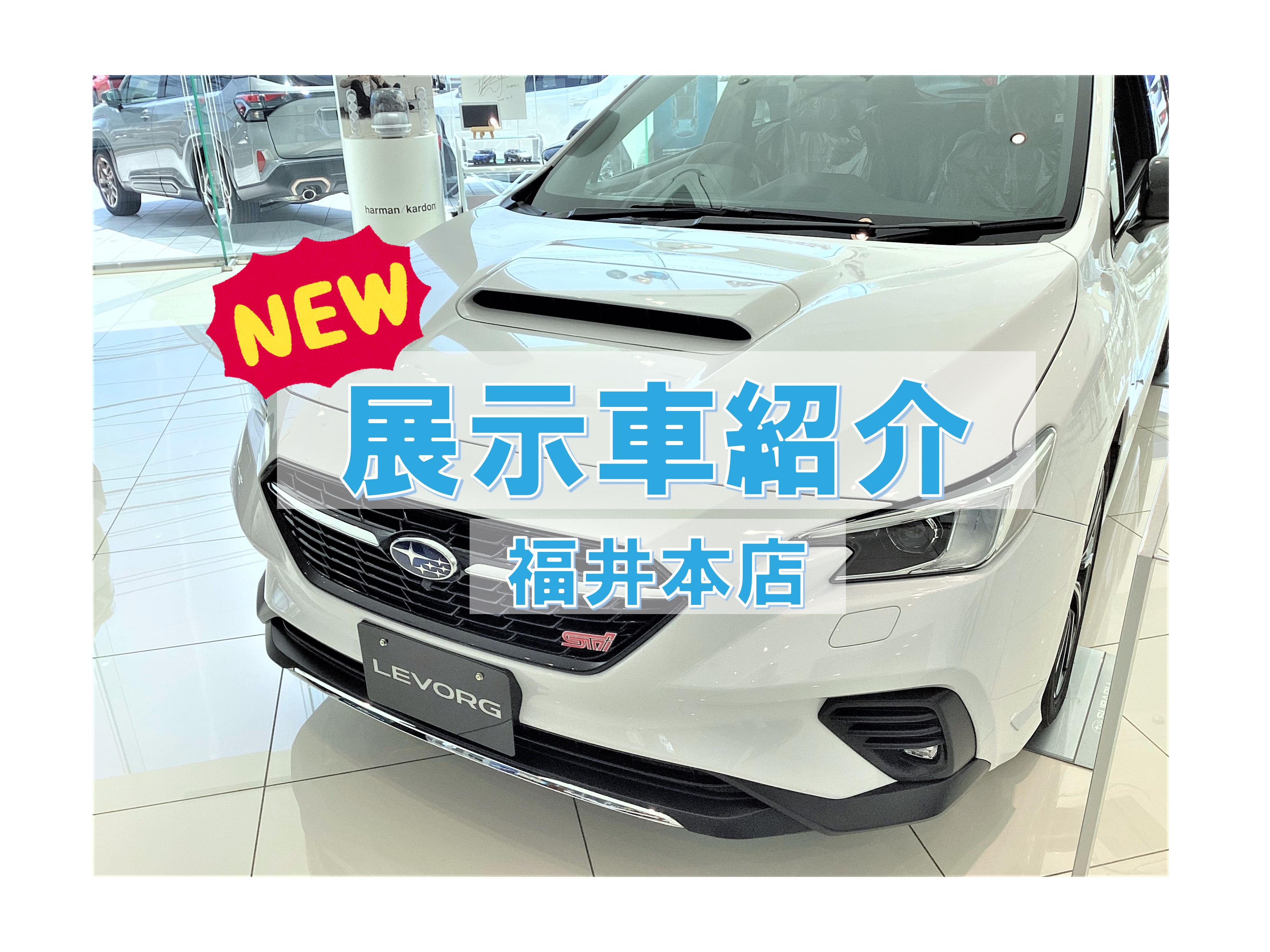 スバル,福井,レヴォーグ,LEVORG,特別仕様車,RECARO