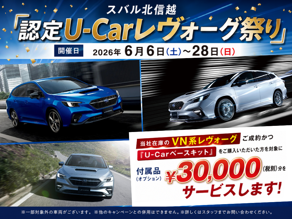 U-Car.jpg