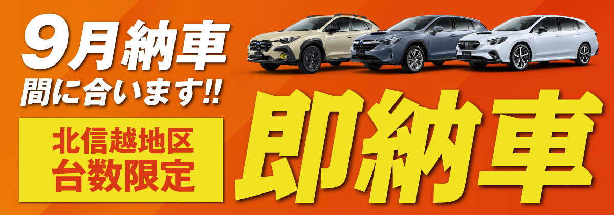 即納車