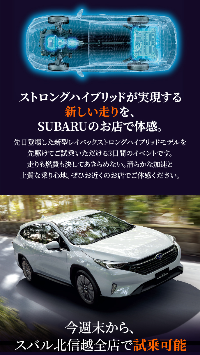 コンテンツ画像
