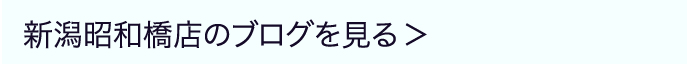 新潟昭和橋