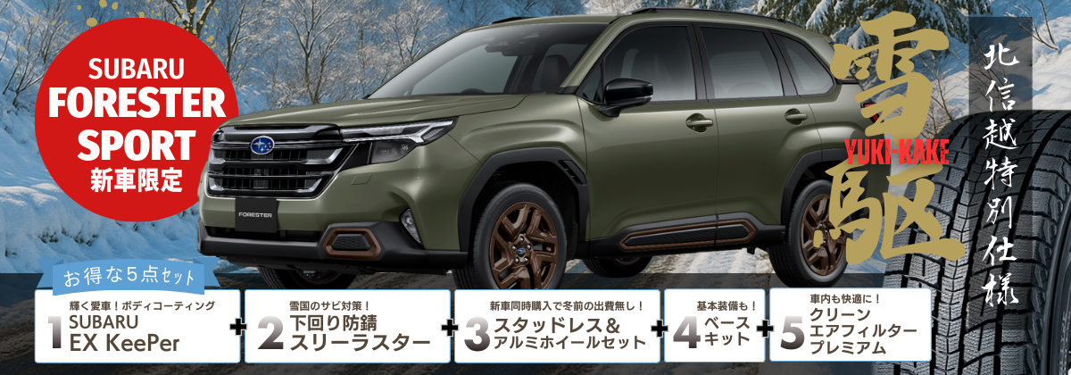 北信越特別仕様雪駆