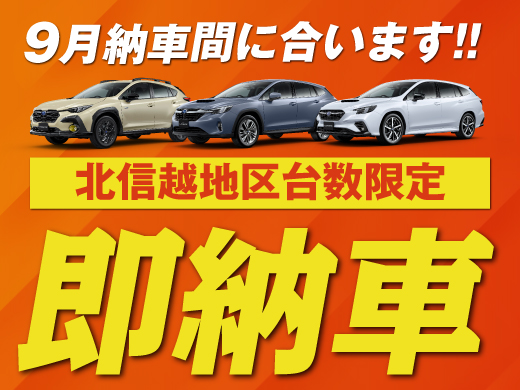 sokunoubnr_520x390.jpg