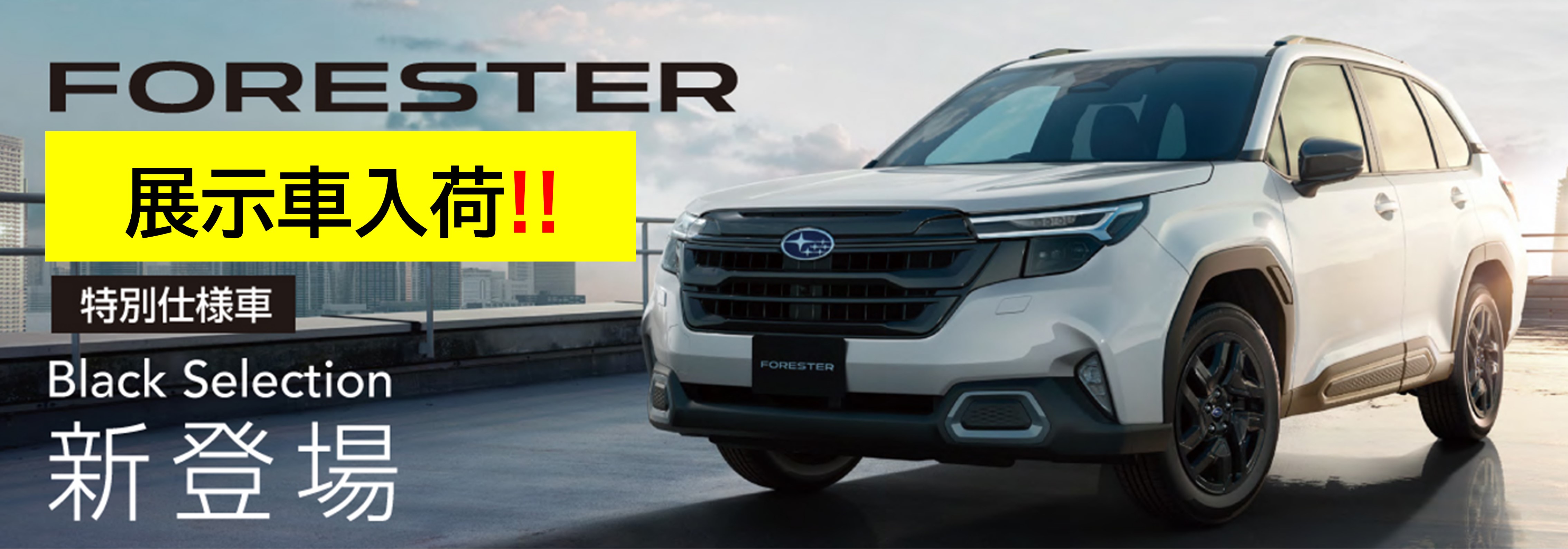 フォレスター特別仕様車